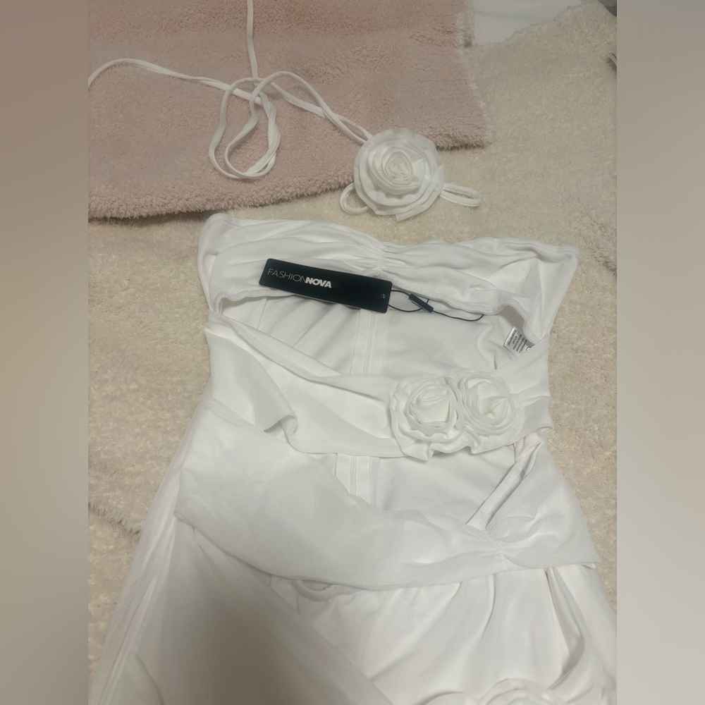 NWT FASHION NOVA ROSES ON ROSES MESH MINI DRESS - Picture 4 of 6